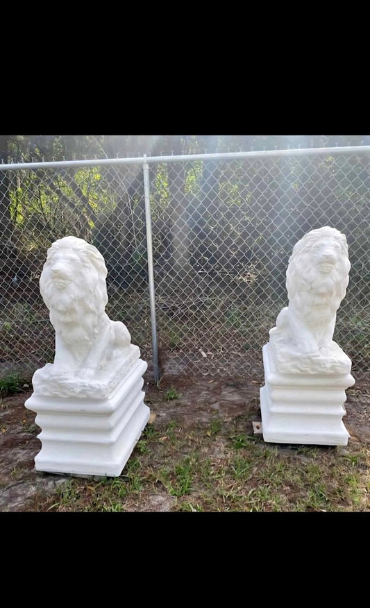 Palm Beach Laying Lion - CBSD