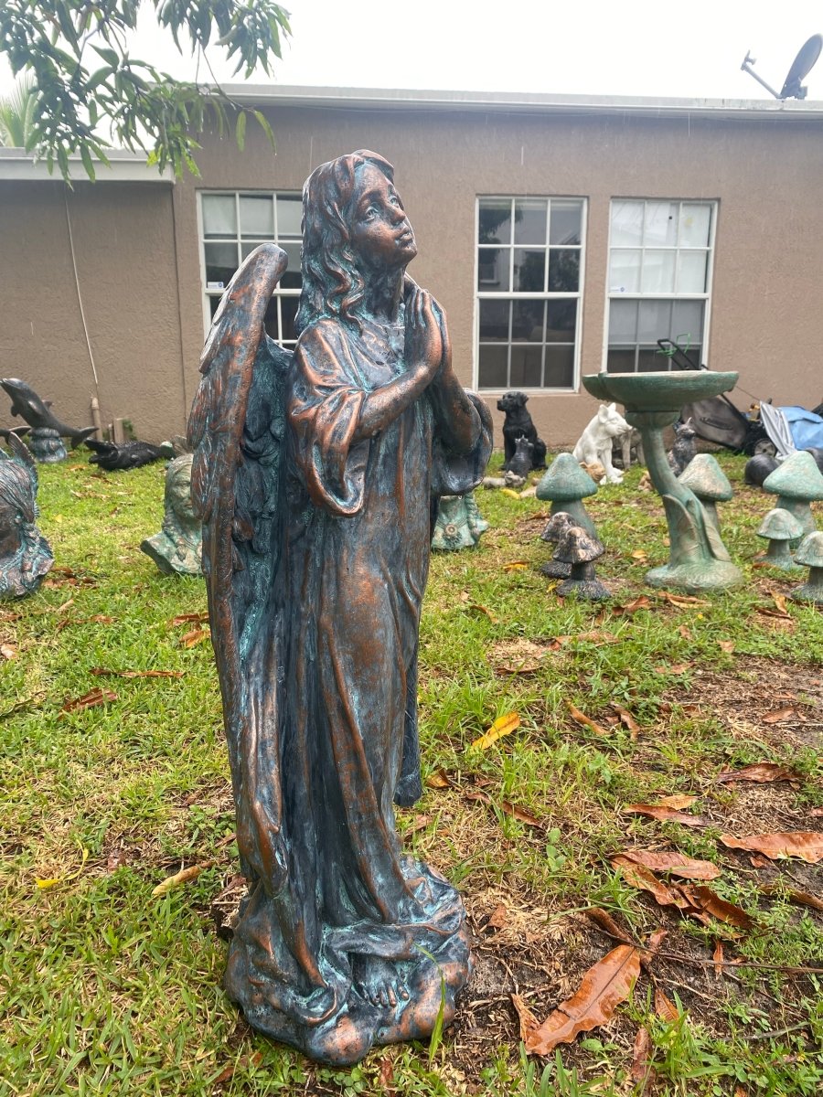 Angel - CBSD