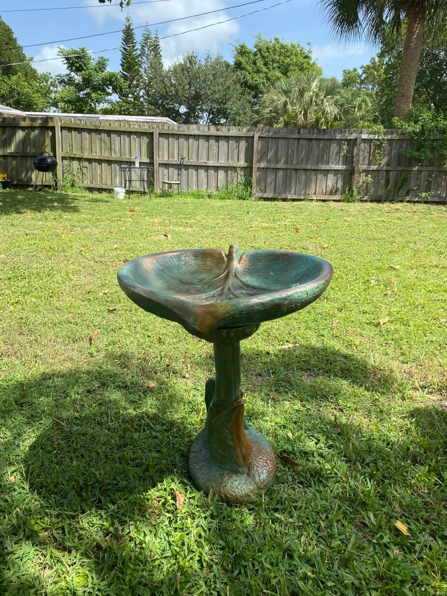 Bird Bath - CBSD