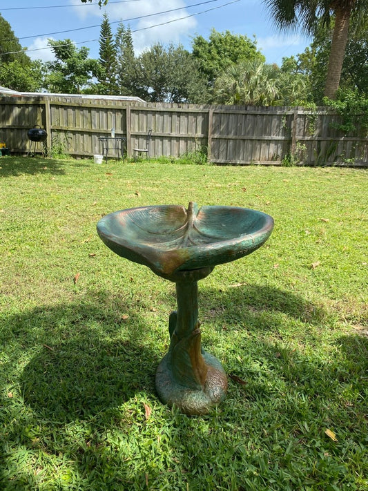 Bird Bath - CBSD