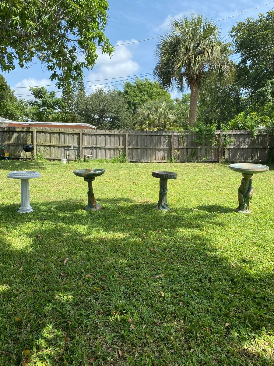 Bird Bath - CBSD