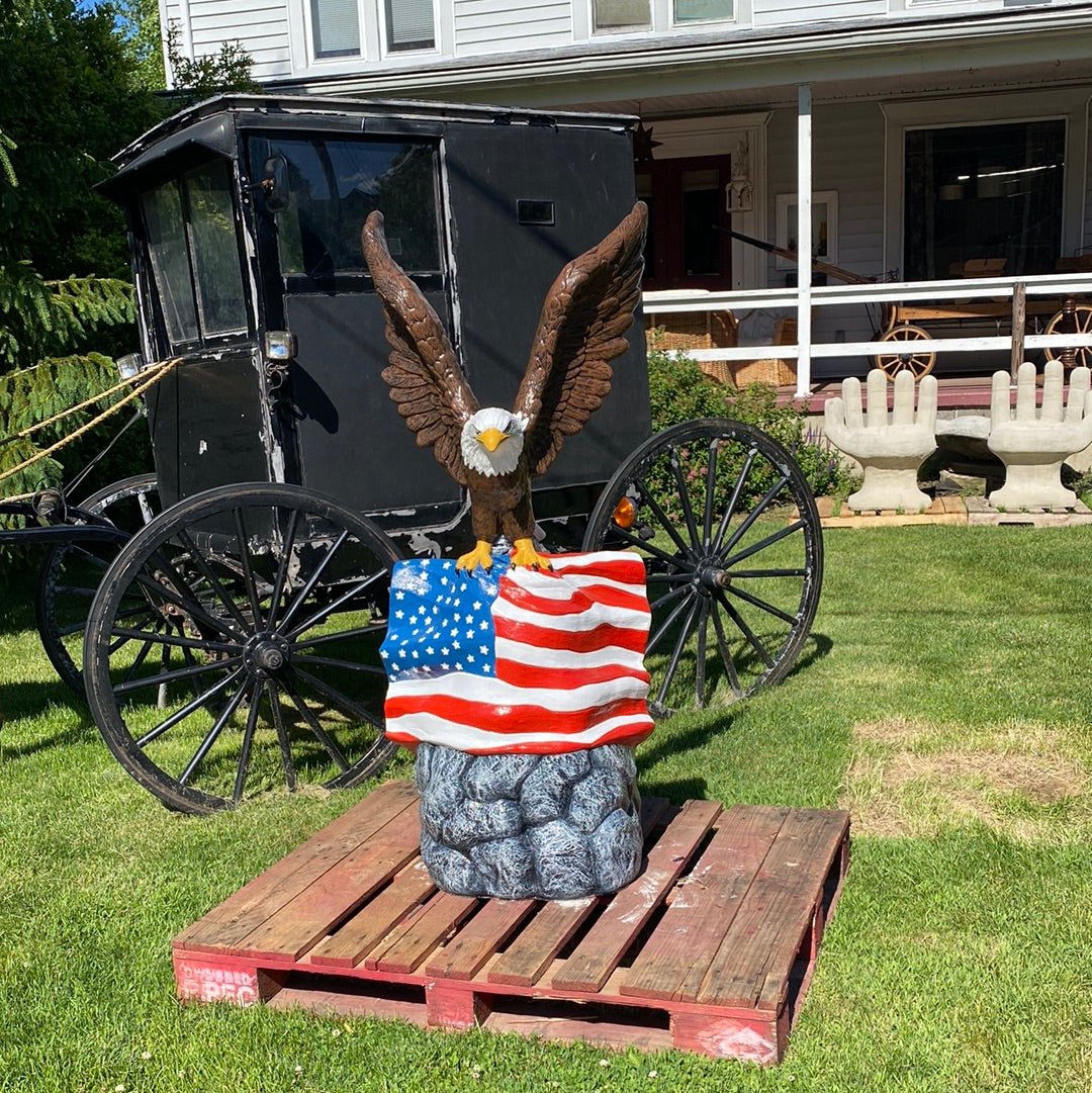 Eagle W/ American Flag - CBSD