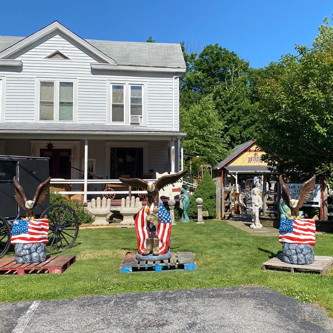 Eagle W/ American Flag - CBSD