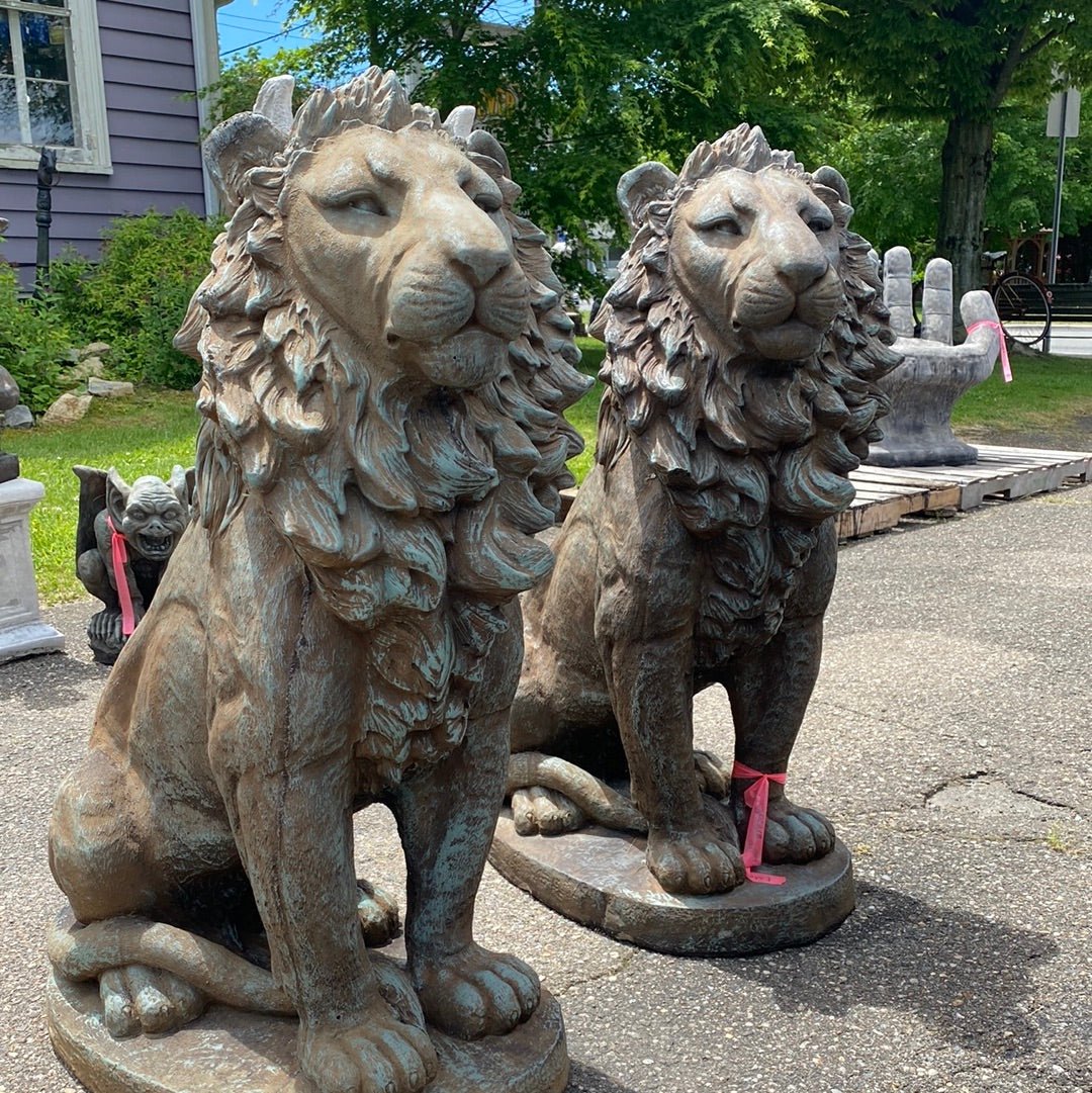 Estate Lion - CBSD