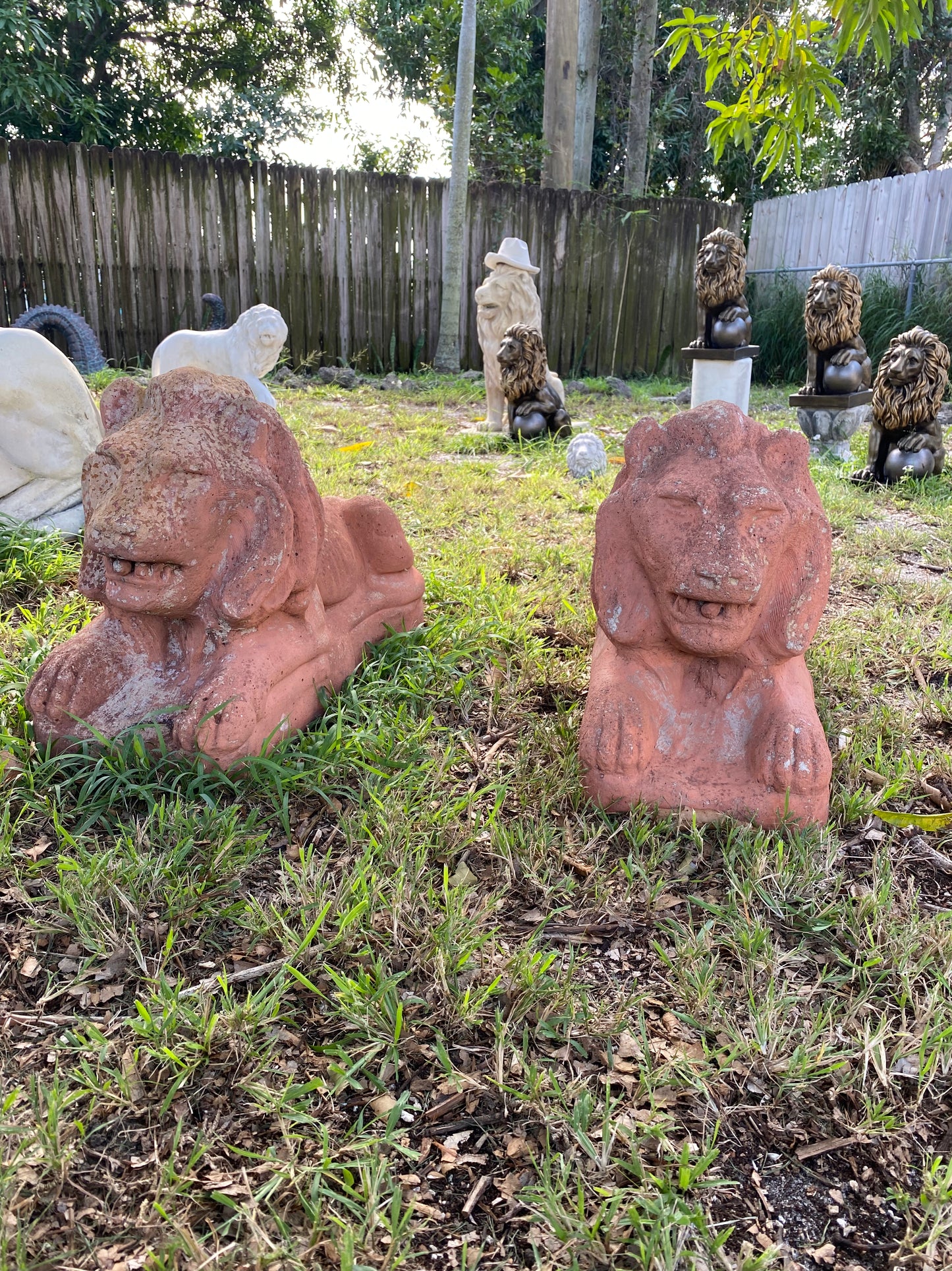 Palm Beach Estate Lions
