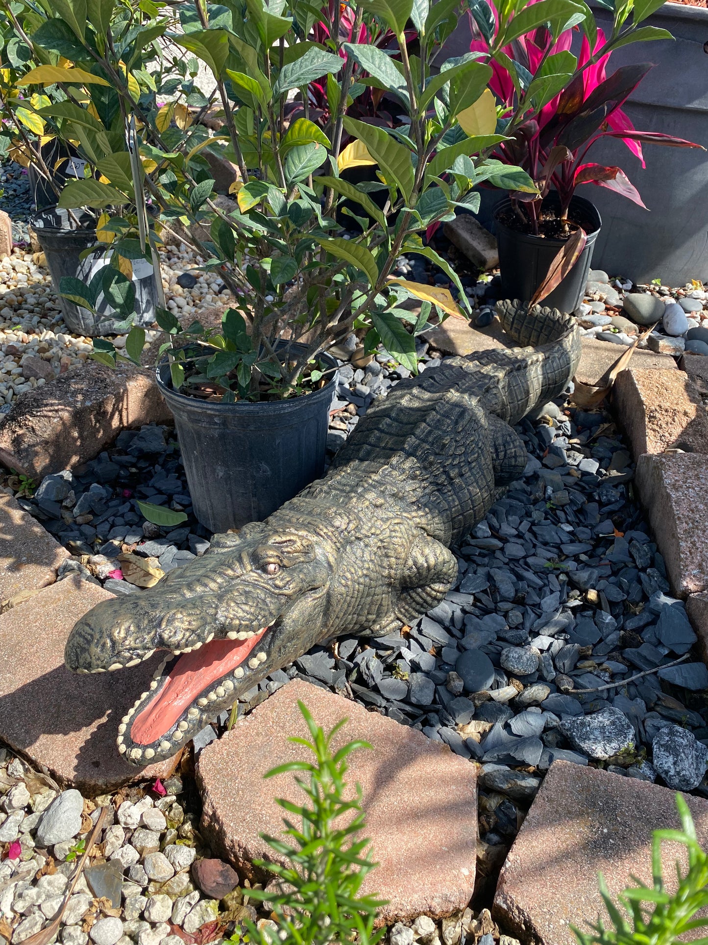 Cement Alligator Decoration