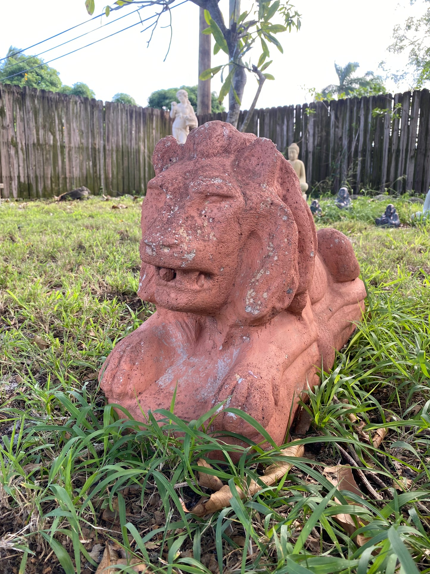 Palm Beach Estate Lions