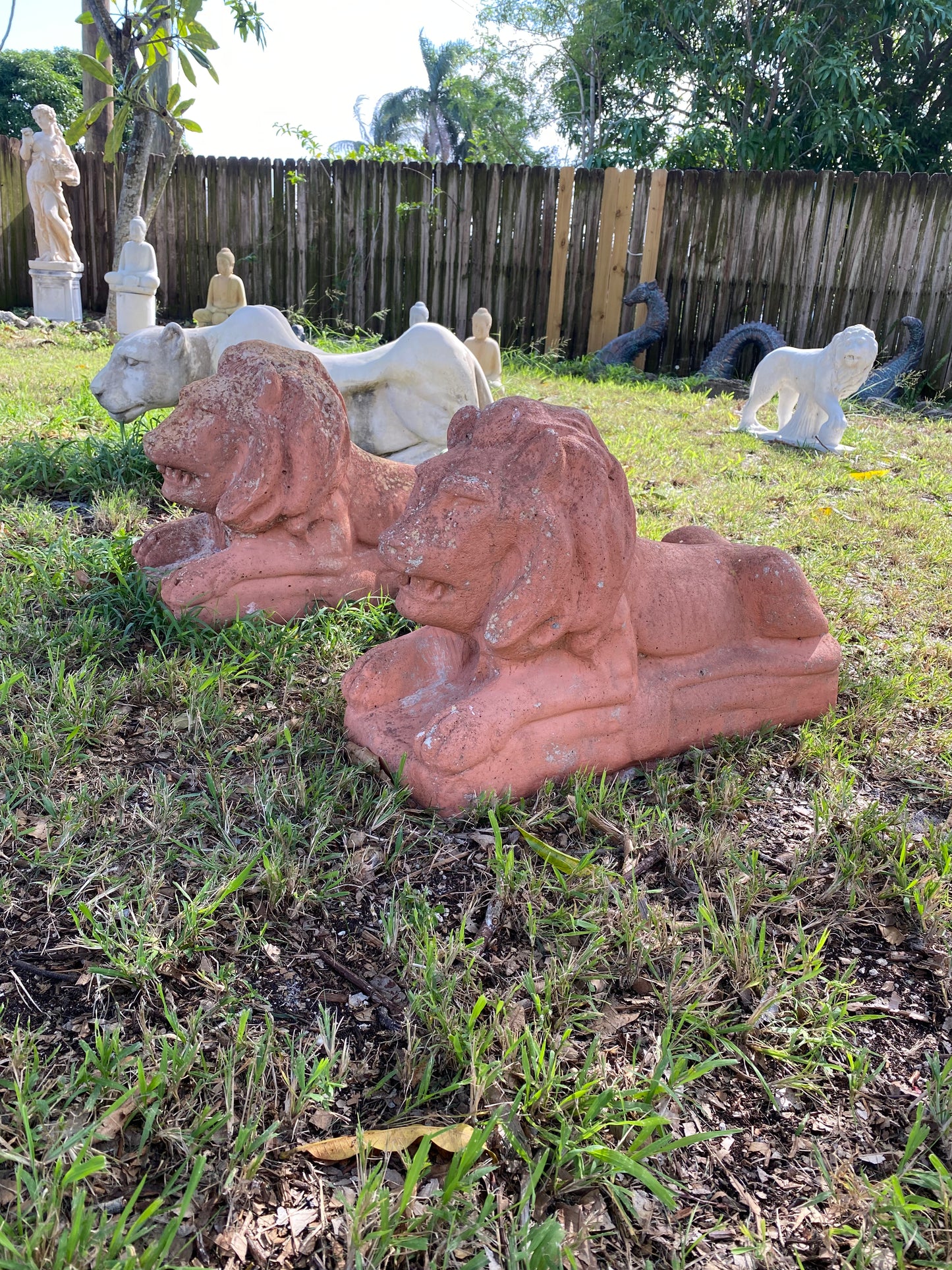 Palm Beach Estate Lions