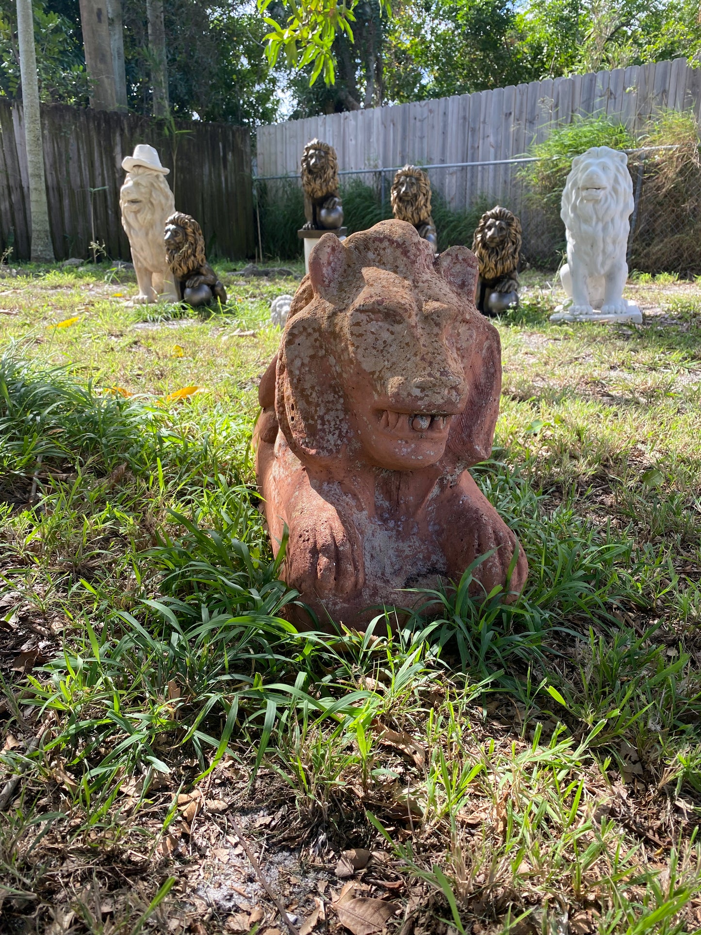 Palm Beach Estate Lions