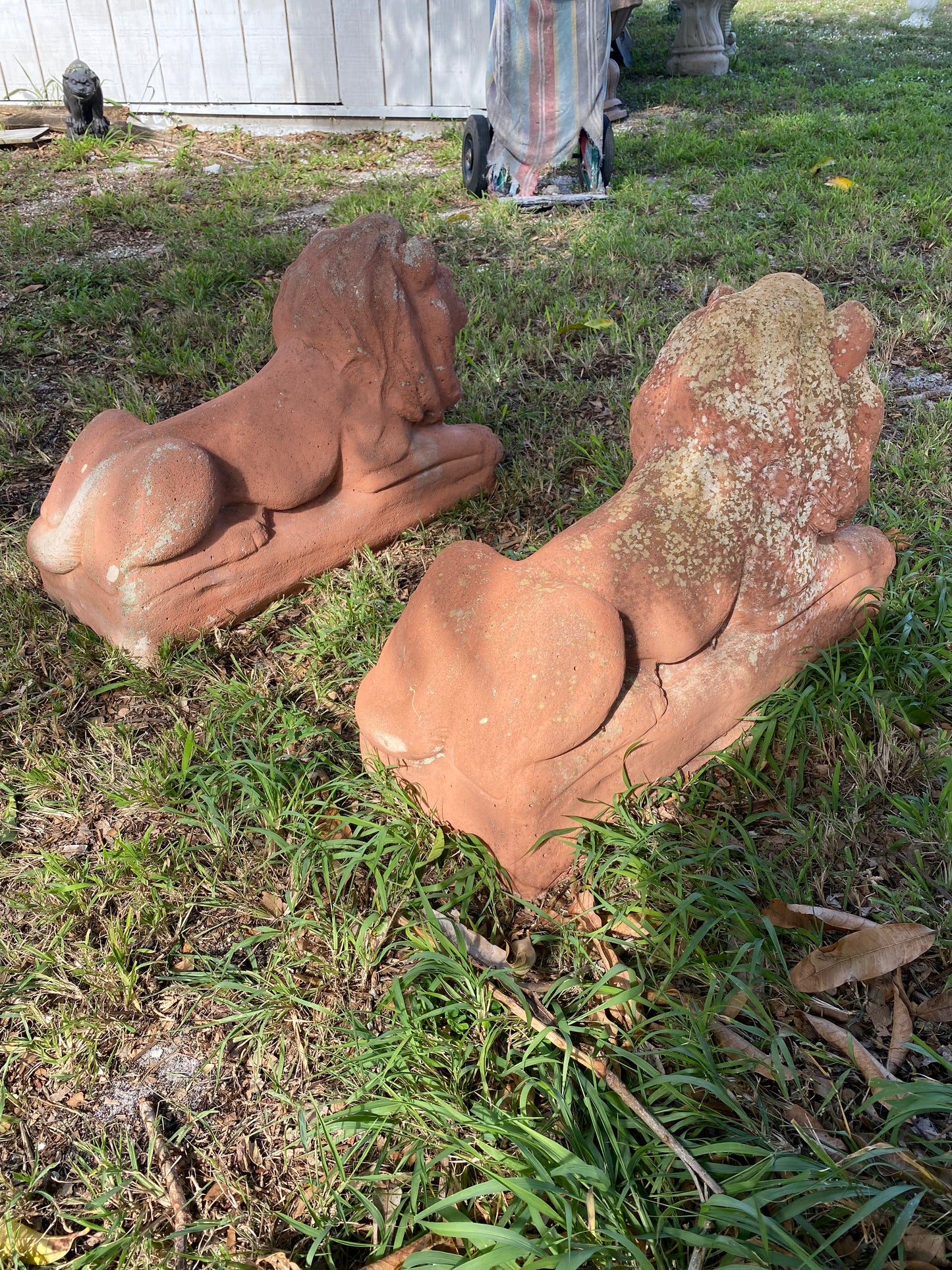 Palm Beach Estate Lions
