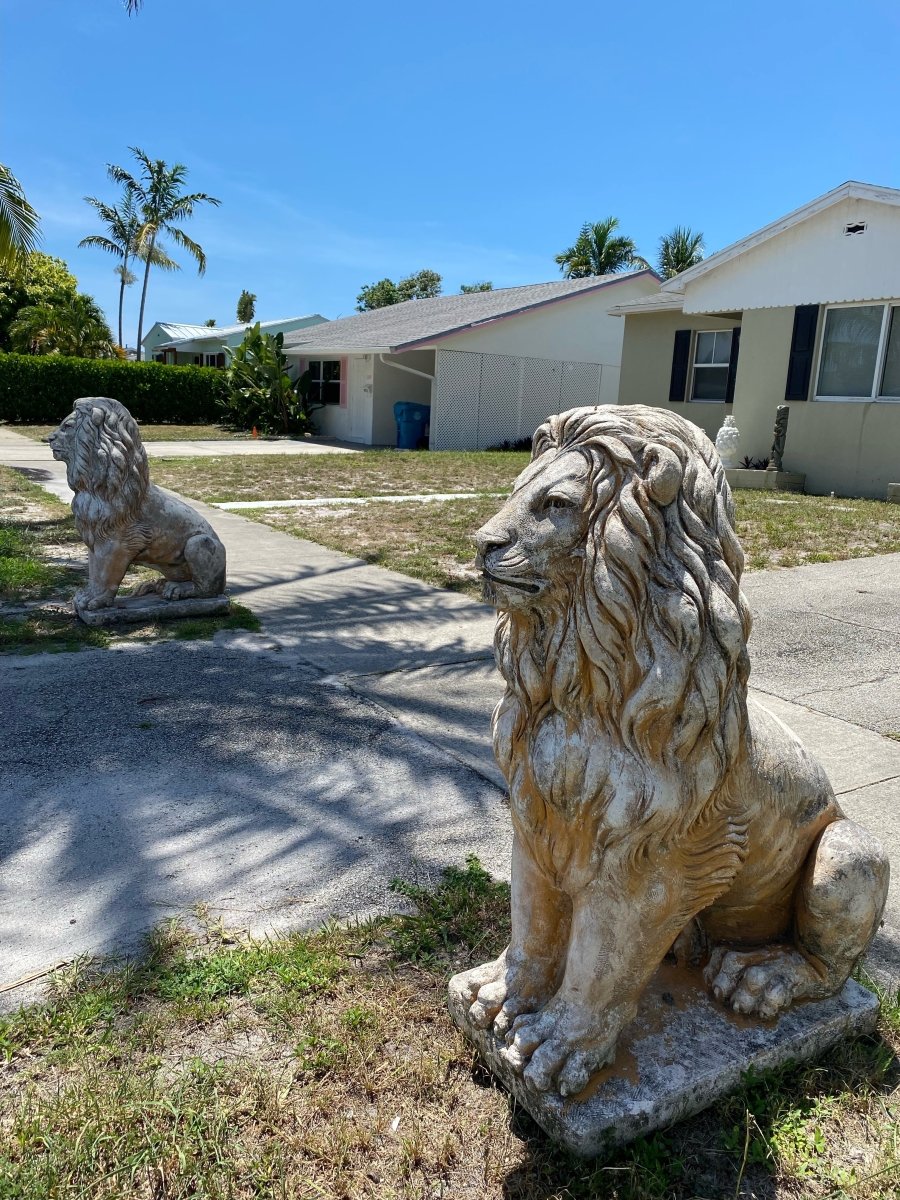 Large Concrete Lion Statue - CBSD