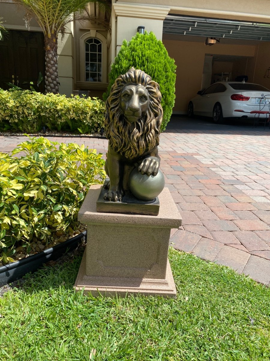 Lion W/ Ball - CBSD