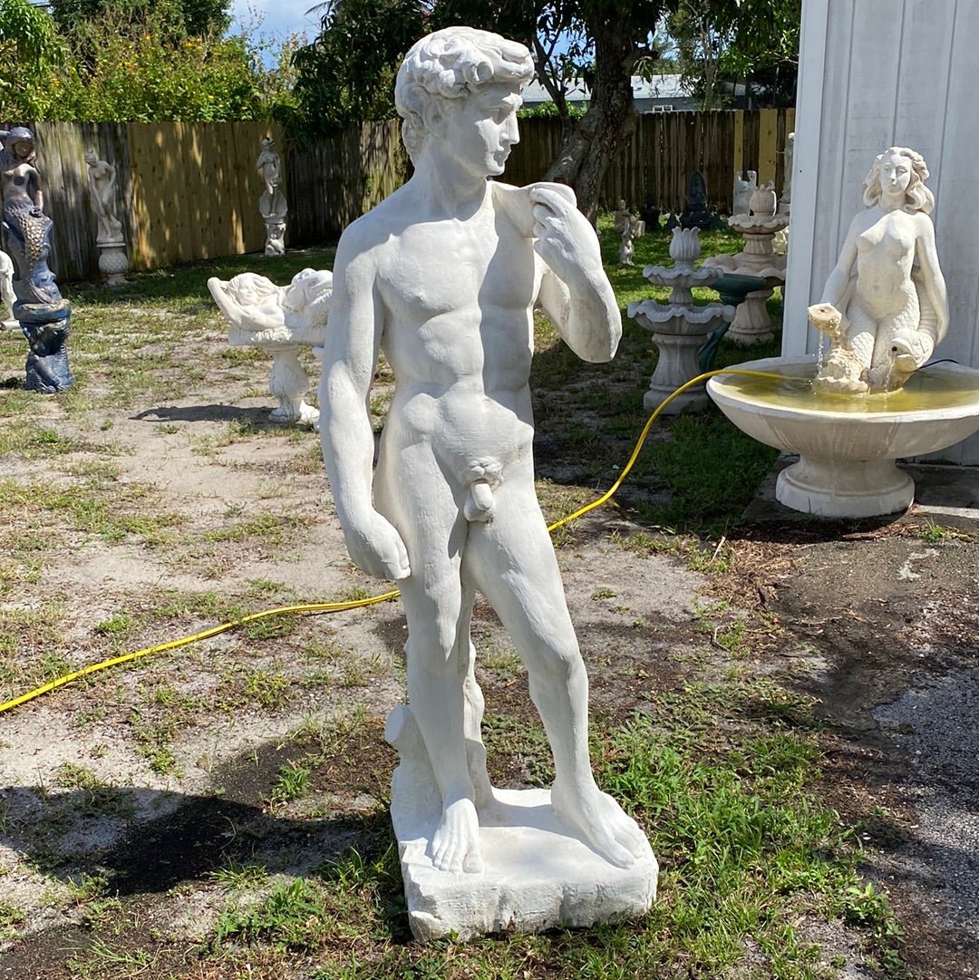 Statue of David - CBSD
