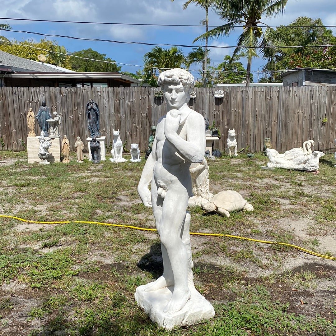 Statue of David - CBSD