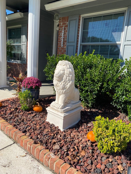 Lion Statue