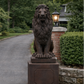 59" Grandessa Sitting Lion Statue – With or Without Pedestal | Estate Concrete Lion - CBSD
