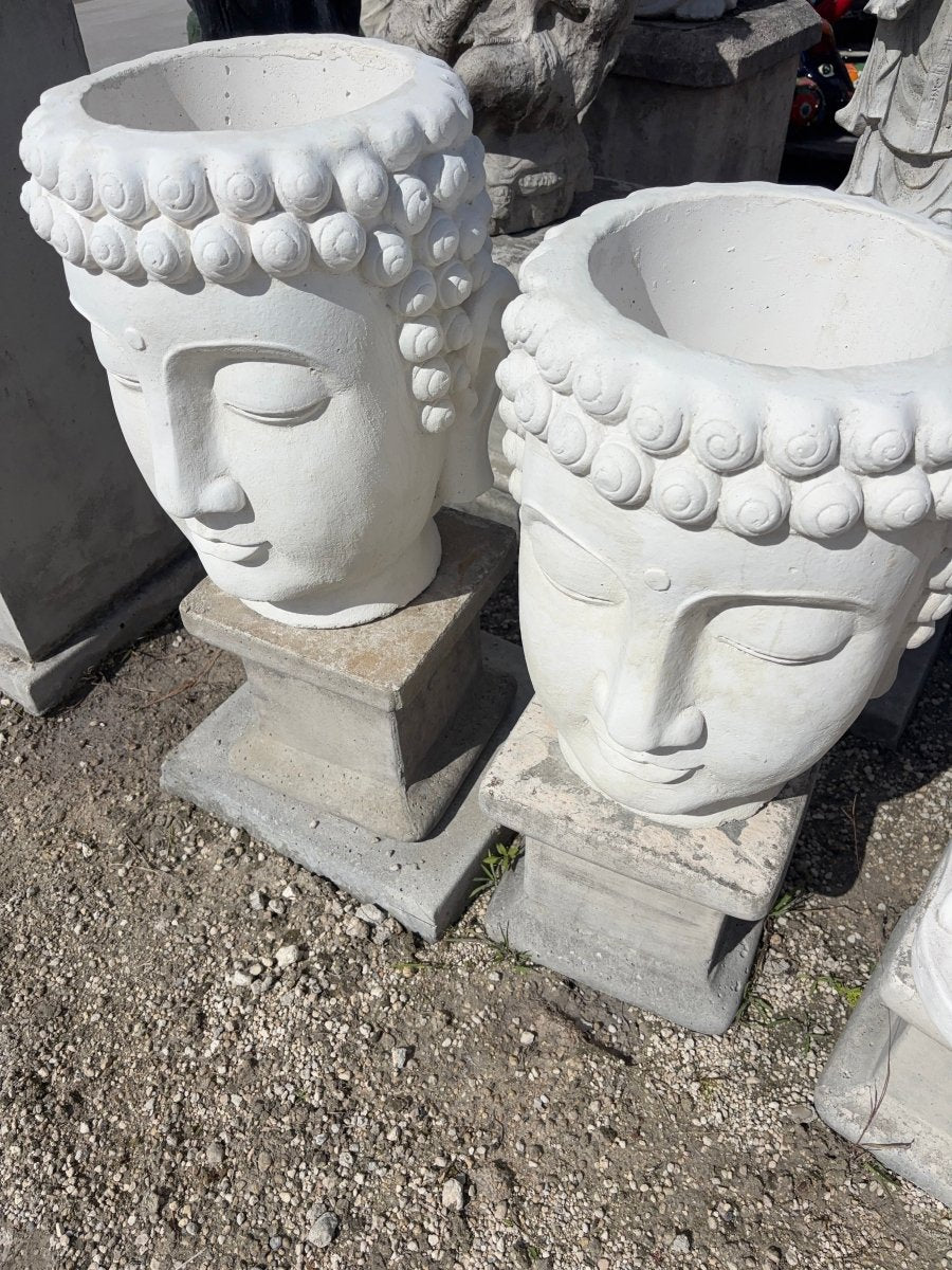 Buddha Planter - CBSD