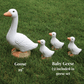 Concrete Goose Statue – 19", 25" & Family Set | Outdoor Garden Decor - CBSD