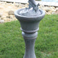 Dolphin Fountain - CBSD