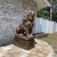 Large Concrete Lion Statue - 48" - CBSD