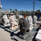 Large Lion Statue - CBSD