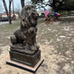 Single bronze concrete lion statue on pedestal in outdoor yard with flags and wagon behind