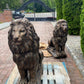 Pair of bronze concrete lion statues on wooden pallets recently delivered