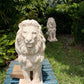 Beige concrete lion statue delivered to customers home, in garden with lush greenery and second lion in background