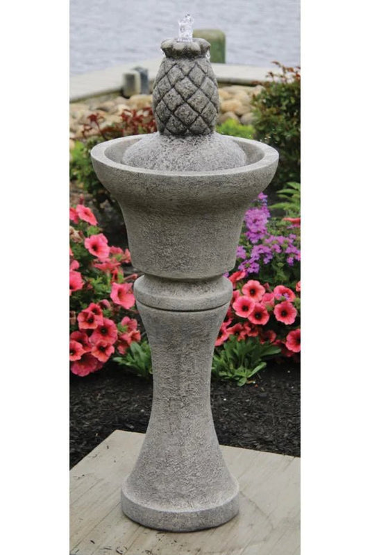 Pineapple Fountain - CBSD