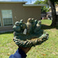 Bird Feeder - CBSD