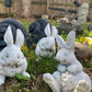 Bunny Statues - CBSD