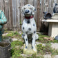 Dalmatian Statue - CBSD