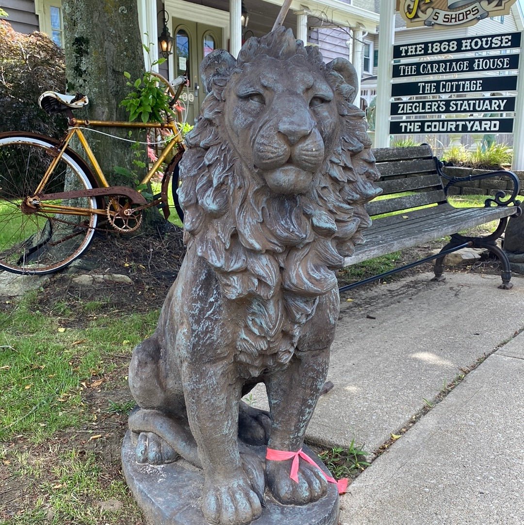 Estate Lion - CBSD