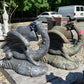 Hidden Treasure Dragon - CBSD