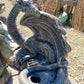 Hidden Treasure Dragon - CBSD