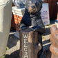 Large Welcome Bear - CBSD