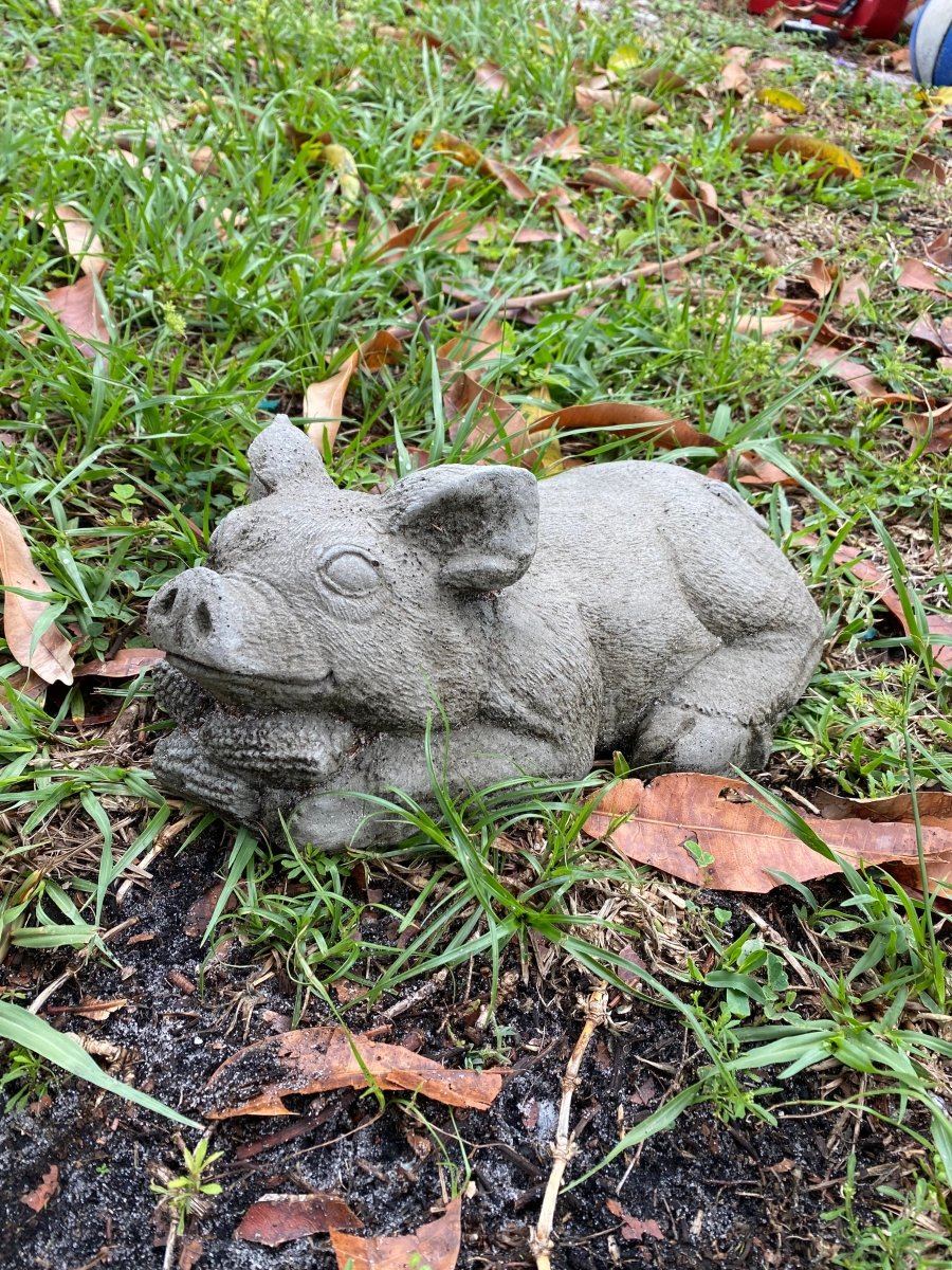 Pig Statue - CBSD