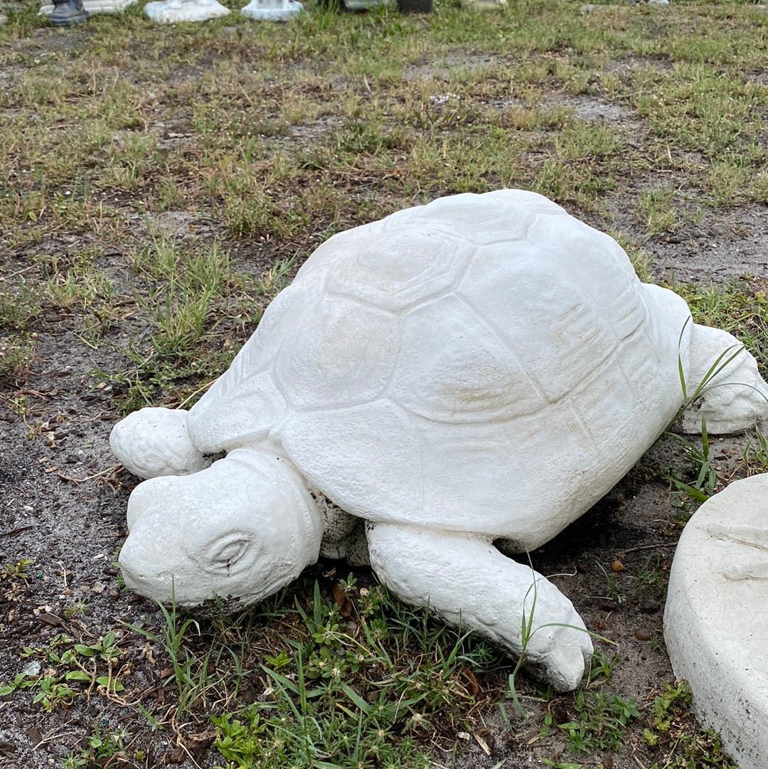 Sea Turtle Statue - CBSD