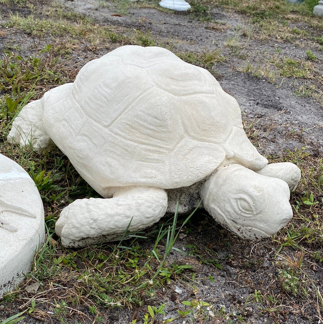 Sea Turtle Statue - CBSD