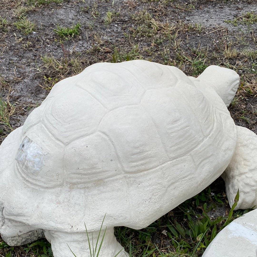 Sea Turtle Statue - CBSD