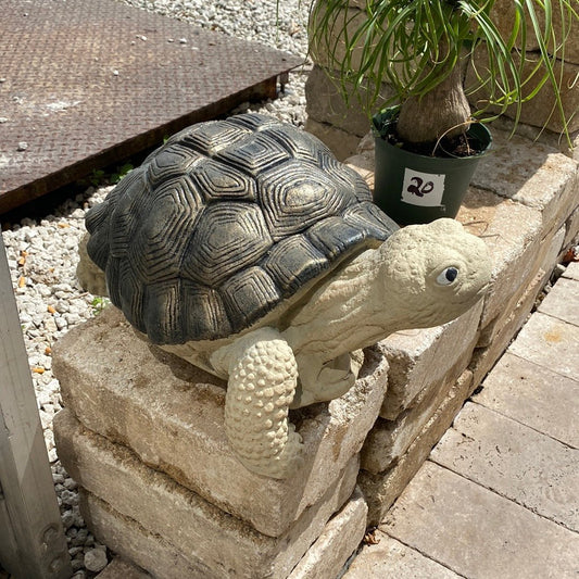 Tortoise Statue - CBSD