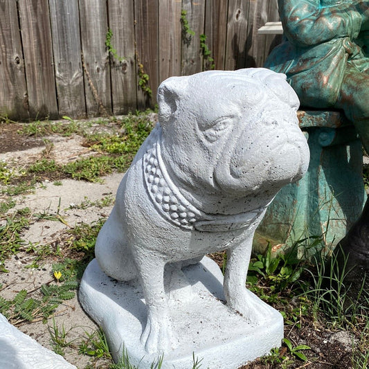 White English Bulldog Statue - CBSD
